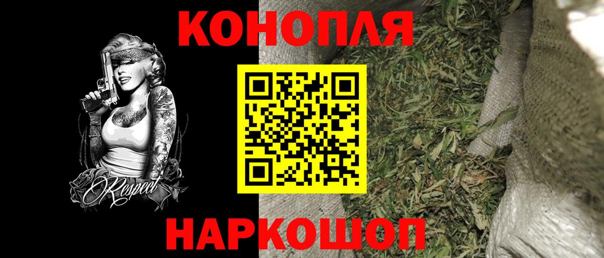 Марихуана план  Бошки Шишки Ganja  Кохма  Канабис сатива  Каннабис Ganja  Вход с VPN 